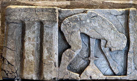 Métope de Paestum