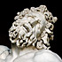 La mort de Laocoon